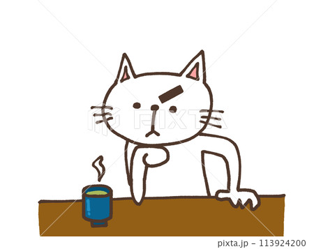 興味深々な白猫 113924200