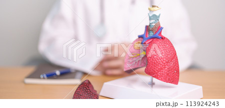 Doctor with Smoker and normal Lung anatomy for Disease. Lung Cancer, Asthma, Chronic Obstructive Pulmonary or COPD, Bronchitis, Emphysema, Cystic Fibrosis, Bronchiectasis, Pneumonia and world Lung day 113924243