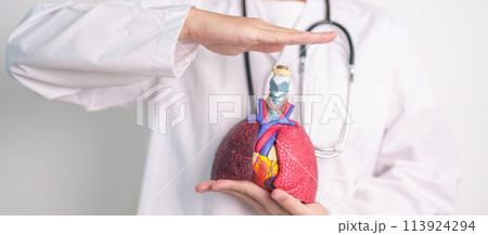 Hand cover Respiratory and Cardiovascular system anatomy. Lung Cancer, Asthma, Chronic Obstructive Pulmonary or COPD, Bronchitis, Emphysema, Cystic Fibrosis, Bronchiectasis, Pneumonia.Health Insurance Hand cover Respiratory and Cardiovascular system anatomy. Lung Cancer, Asthma, Chronic Obstructive Pulmonary or COPD, Bronchitis, Emphysema, Cystic Fibrosis, Bronchiectasis, Pneumonia.Health Insurance 113924294