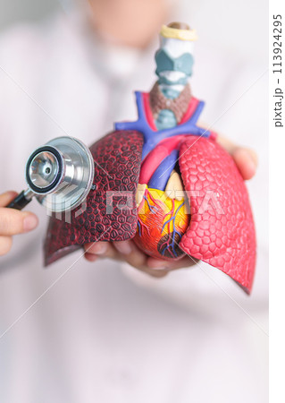 Hand hold Respiratory and Cardiovascular anatomy with stethoscope. Lung Cancer, Asthma, Chronic Obstructive Pulmonary or COPD, Bronchitis, Emphysema, Cystic Fibrosis, Bronchiectasis, Pneumonia. Hand hold Respiratory and Cardiovascular anatomy with stethoscope. Lung Cancer, Asthma, Chronic Obstructive Pulmonary or COPD, Bronchitis, Emphysema, Cystic Fibrosis, Bronchiectasis, Pneumonia. 113924295