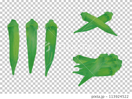 Watercolor style okra set 113924522