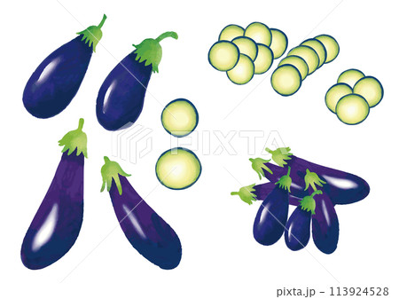 水彩風　茄子　セット 113924528