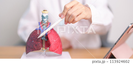 Doctor with Smoker and normal Lung anatomy for Disease. Lung Cancer, Asthma, Chronic Obstructive Pulmonary or COPD, Bronchitis, Emphysema, Cystic Fibrosis, Bronchiectasis, Pneumonia and world Lung day Doctor with Smoker and normal Lung anatomy for Disease. Lung Cancer, Asthma, Chronic Obstructive Pulmonary or COPD, Bronchitis, Emphysema, Cystic Fibrosis, Bronchiectasis, Pneumonia and world Lung day 113924602