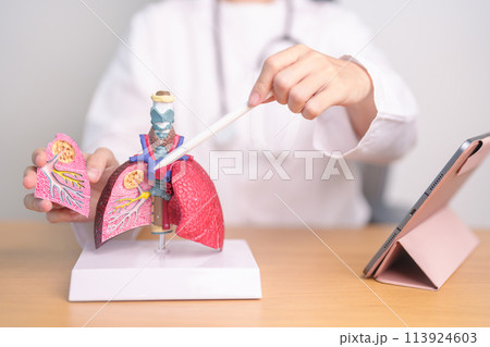 Doctor with Smoker and normal Lung anatomy for Disease. Lung Cancer, Asthma, Chronic Obstructive Pulmonary or COPD, Bronchitis, Emphysema, Cystic Fibrosis, Bronchiectasis, Pneumonia and world Lung day 113924603