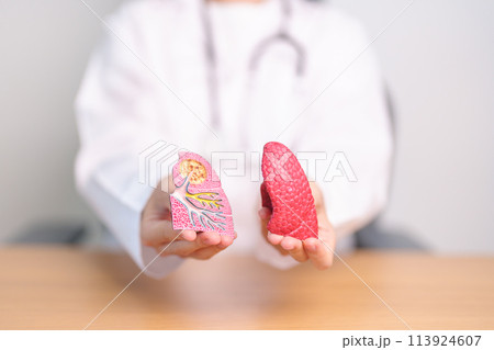 Doctor with Smoker and normal Lung anatomy for Disease. Lung Cancer, Asthma, Chronic Obstructive Pulmonary or COPD, Bronchitis, Emphysema, Cystic Fibrosis, Bronchiectasis, Pneumonia and world Lung day Doctor with Smoker and normal Lung anatomy for Disease. Lung Cancer, Asthma, Chronic Obstructive Pulmonary or COPD, Bronchitis, Emphysema, Cystic Fibrosis, Bronchiectasis, Pneumonia and world Lung day 113924607
