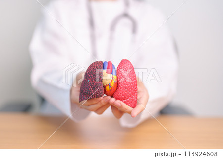 Doctor with Respiratory system anatomy for Diseases. Lung Cancer, Asthma, Chronic Obstructive Pulmonary or COPD, Bronchitis, Emphysema, Cystic Fibrosis, Bronchiectasis, Pneumonia and Pleural Effusion Doctor with Respiratory system anatomy for Diseases. Lung Cancer, Asthma, Chronic Obstructive Pulmonary or COPD, Bronchitis, Emphysema, Cystic Fibrosis, Bronchiectasis, Pneumonia and Pleural Effusion 113924608