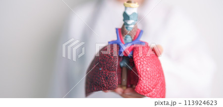 Doctor with Smoker and normal Lung anatomy for Disease. Lung Cancer, Asthma, Chronic Obstructive Pulmonary or COPD, Bronchitis, Emphysema, Cystic Fibrosis, Bronchiectasis, Pneumonia and world Lung day 113924623