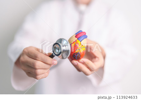 Doctor hold Heart anatomy model with stethoscope. Cardiovascular Diseases, Atherosclerosis, Hypertensive Heart, Valvular Heart, Aortopulmonary window. world Heart day and health Insurance concept Doctor hold Heart anatomy model with stethoscope. Cardiovascular Diseases, Atherosclerosis, Hypertensive Heart, Valvular Heart, Aortopulmonary window. world Heart day and health Insurance concept 113924633