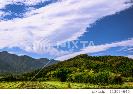 三増合戦古戦場跡の風景 三増合戦古戦場跡の風景 113924649