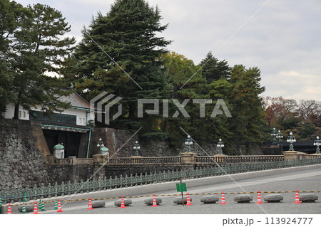 皇居 正門石橋 皇居 正門石橋 113924777