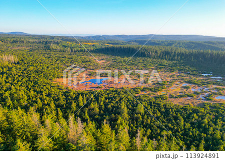 Wild forested and wet landscape of Prebuz moorland in Ore Mountains, Czech: Krusne hory, Czechia. Aerial view from drone. 113924891