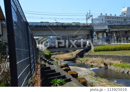 多摩　八王子　湯殿川はこんな感じ 113925019