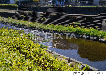 多摩 八王子 湯殿川はこんな感じ 多摩 八王子 湯殿川はこんな感じ 113925034