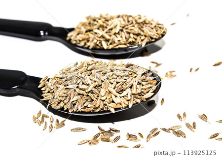 A picture of cumin with selective focus A picture of cumin with selective focus 113925125
