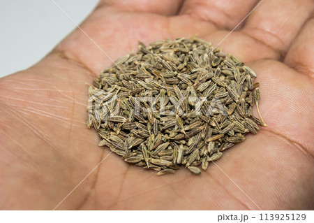 A picture of cumin with selective focus 113925129