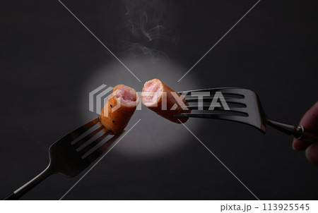 ウィンナー　ソーセージ 113925545