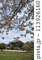 桜が満開になりました 113926160