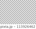 ホログラムの台紙のイメージ レンズ 113926462