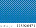 ホログラムの台紙のイメージ レンズ 113926471