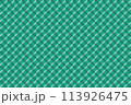 ホログラムの台紙のイメージ レンズ 113926475