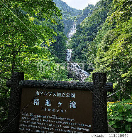 精進ヶ滝 精進ヶ滝 113926943