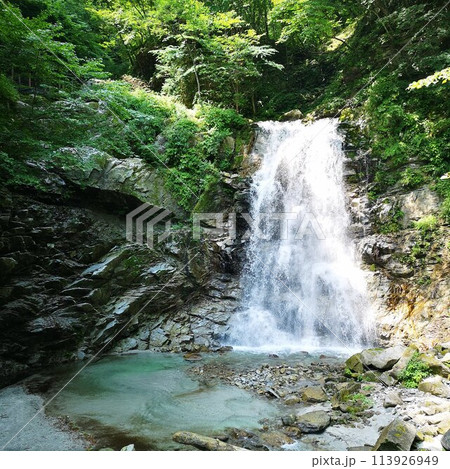 精進ヶ滝 精進ヶ滝 113926949