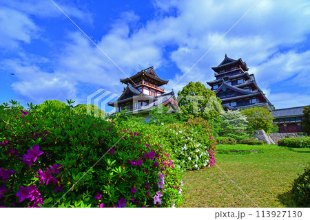 躑躅と伏見桃山城 113927130