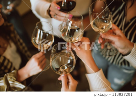 Friends enjoy a cheerful toast with white wine glasses 113927291