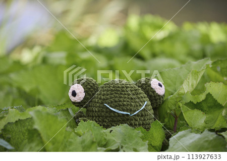 Cute knitted frog toy in the garden Cute knitted frog toy in the garden 113927633