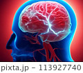 脳神経の信号伝達　イメージ 113927740