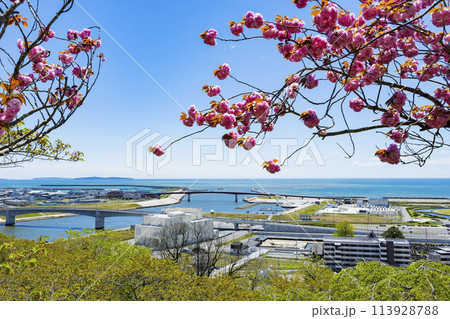石巻市日和山神社 113928788