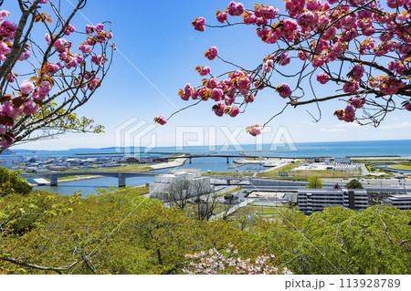 石巻市日和山神社 113928789