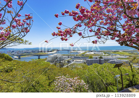 石巻市日和山神社 113928809