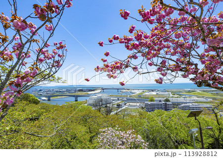 石巻市日和山神社 石巻市日和山神社 113928812