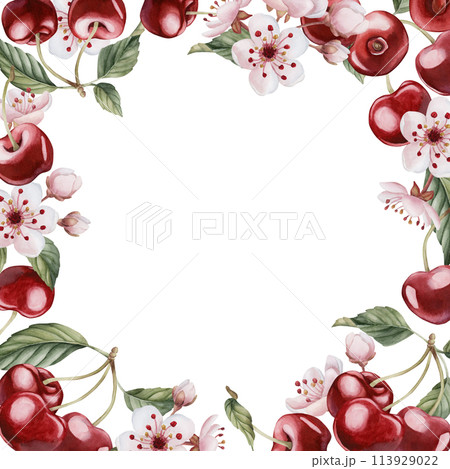 Cherry berries with flowers and leaves, watercolor isolated illustration. Frame with berry fruits and spring blossom for table textile, porcelain tableware, delicious prints and food packages 113929022
