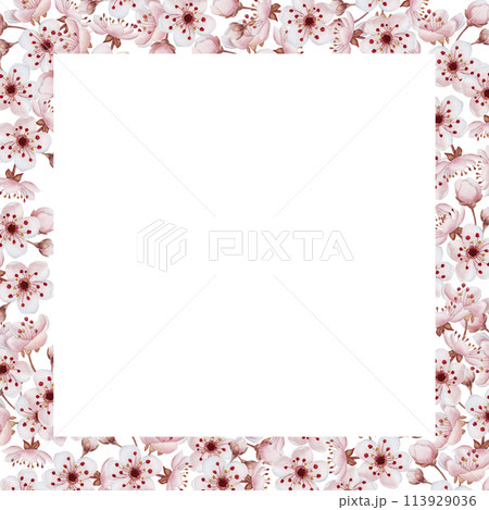 Frame with cherry blossom, watercolor illustration isolated on white. Spring pink flowers for table textile, porcelain tableware, delicious prints, cosmetic packages, labels or logo 113929036