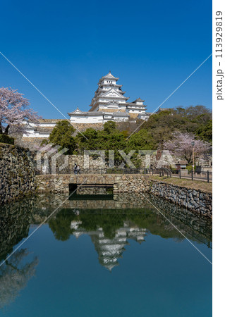兵庫県姫路市　お堀に映り込む姿も堂々と美しい姫路城と桜 113929819