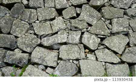 津城跡_石垣 113930438