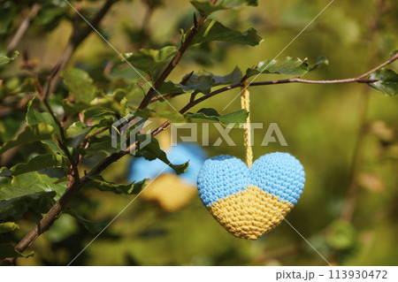 Knitted heart toys in the shape of the flag of Ukraine Knitted heart toys in the shape of the flag of Ukraine 113930472