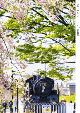 春の桜並木 日中線のしだれ桜 SL広場のC11 福島県喜多方市 春の桜並木 日中線のしだれ桜 SL広場のC11 福島県喜多方市 113931049
