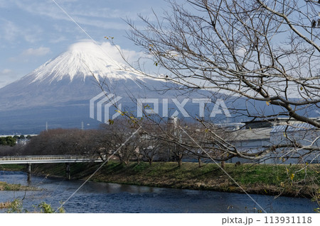 冬の富士山 冬の富士山 113931118