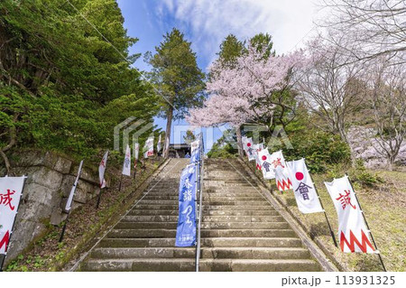 春の土津神社　会津藩の旗と石段の桜　福島県猪苗代町 113931325