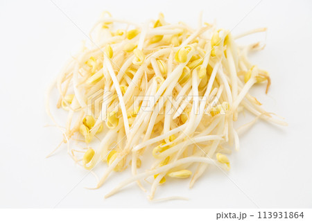 白バックの大豆もやし(豆もやし) 白バックの大豆もやし(豆もやし) 113931864