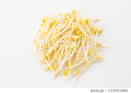 白バックの大豆もやし（豆もやし） 113931868