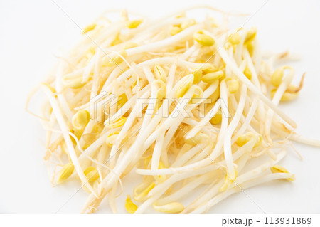 白バックの大豆もやし(豆もやし) 白バックの大豆もやし(豆もやし) 113931869