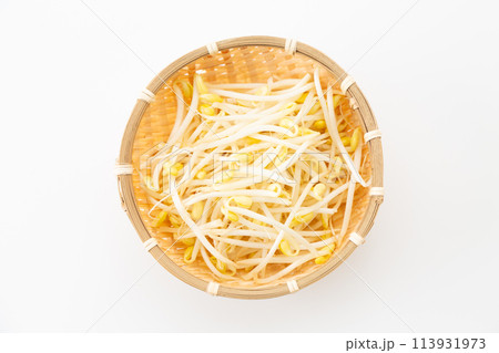 白バックの大豆もやし（豆もやし） 113931973
