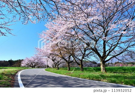 栃木県那須塩原市　春を迎える那須塩原と満開の桜 113932052