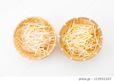 白バックの大豆もやし(豆もやし)と緑豆もやし 白バックの大豆もやし(豆もやし)と緑豆もやし 113932107