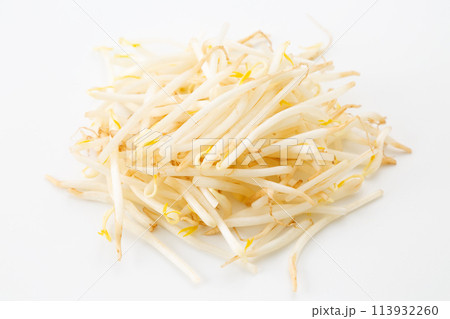 白バックのもやし 113932260