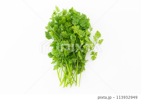 白バックのチャービル 113932949